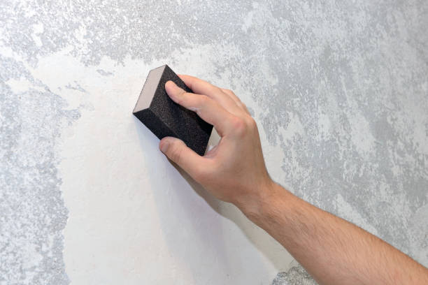Best Water Damage & Mold Remediation  in Mount Sinai, NY