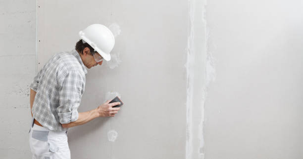 Best Comprehensive Air Testing for Mold Contaminants  in Mount Sinai, NY