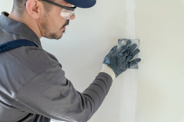 Best Residential Mold Inspection & Testing  in Mount Sinai, NY