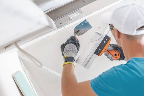 Mold Documentation for Insurance Claims in Mount Sinai, NY